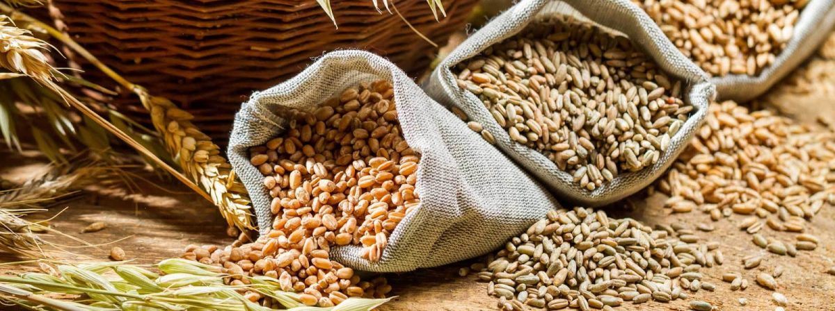 Fibra Dietética: Tu escudo invisible