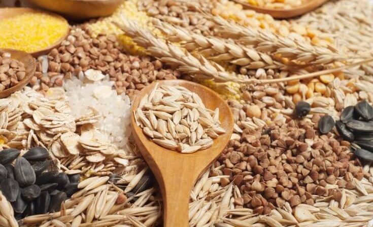La anatomía del grano: ¿Qué estamos tirando al refinar?