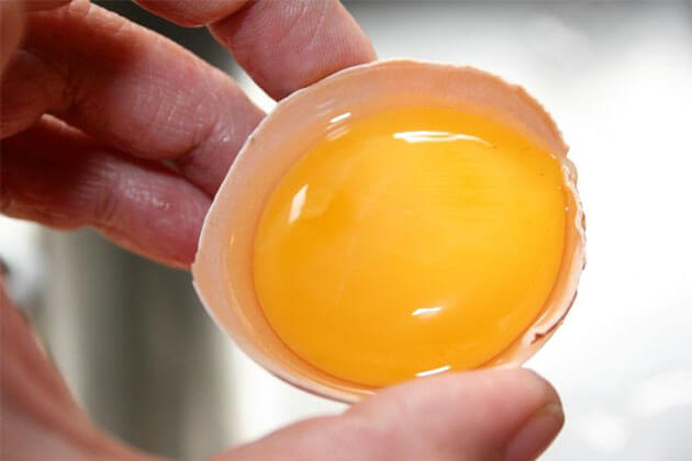 Manipular y conservar huevos en verano