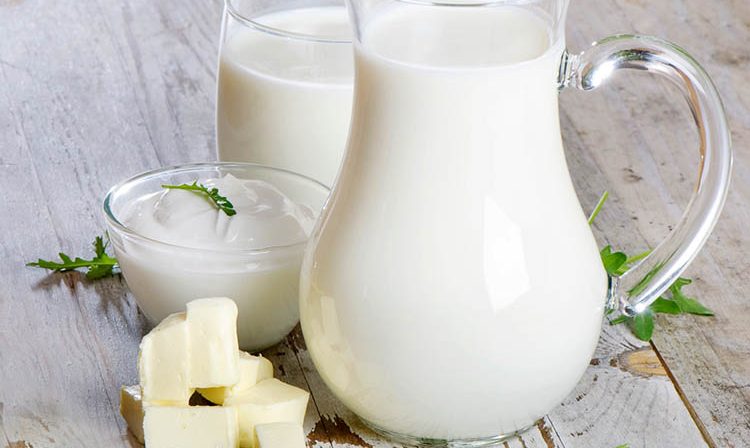 Tipos de Leche y Alternativas Vegetales
