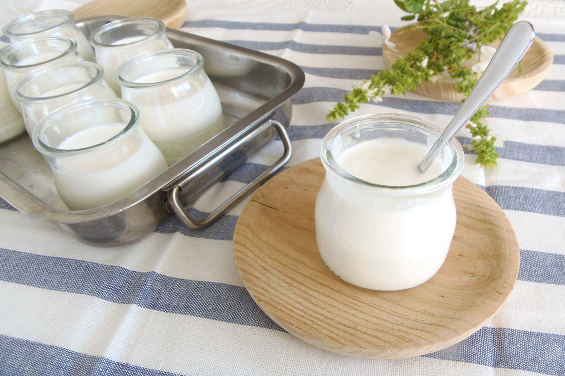 Yogur de cabra casero