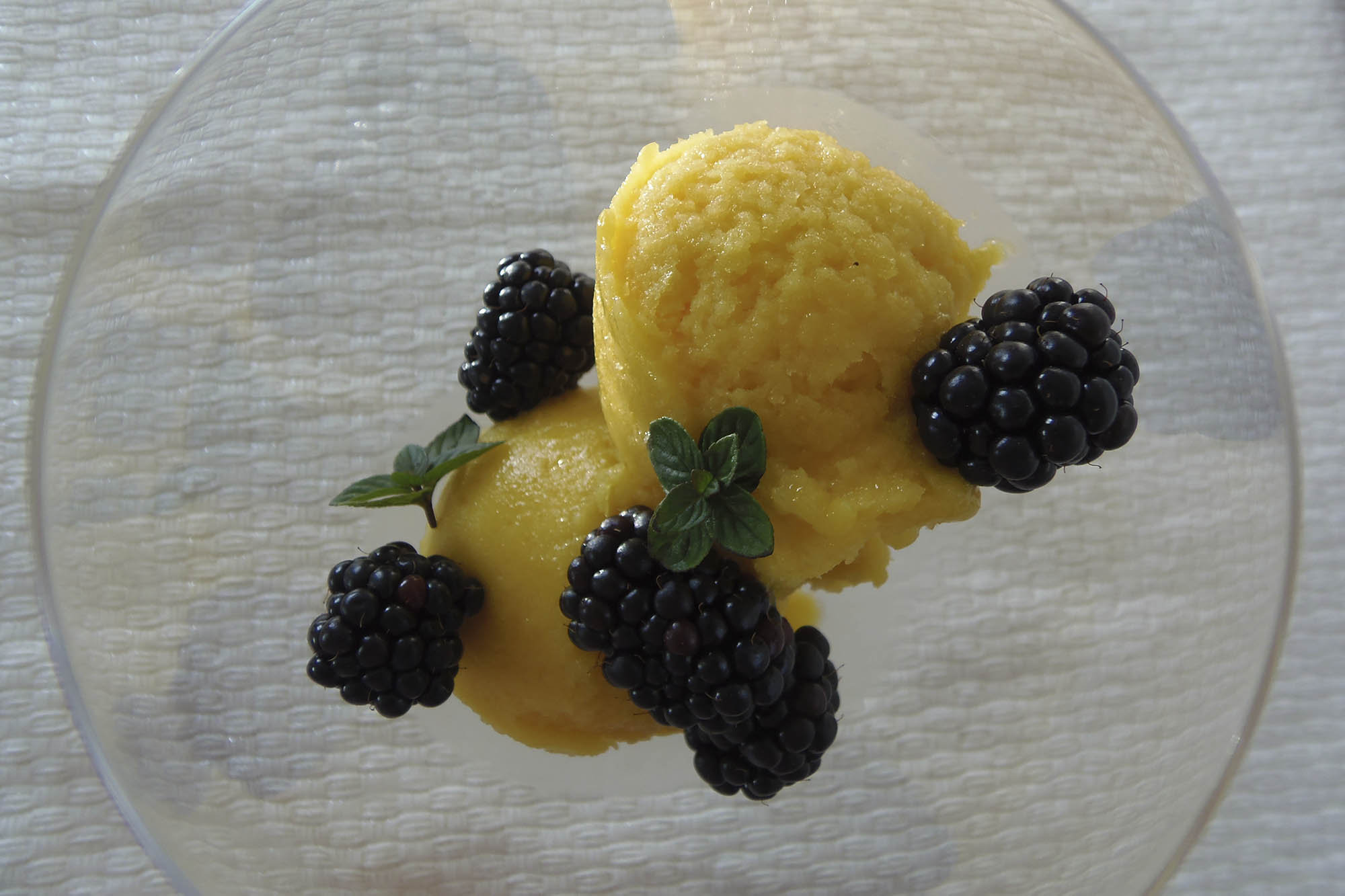 Sorbete de mango con stevia